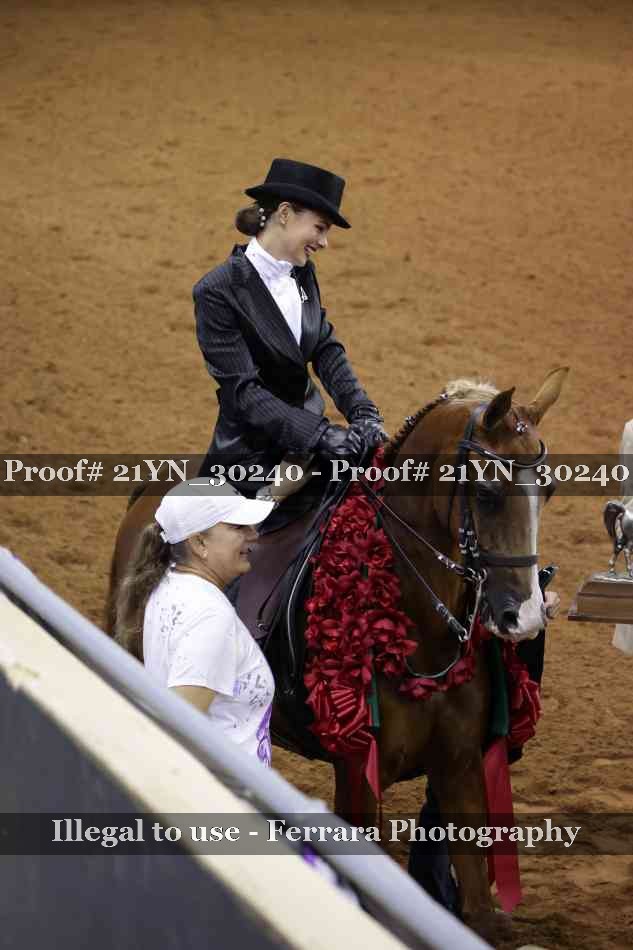 Proof 21YN_30240