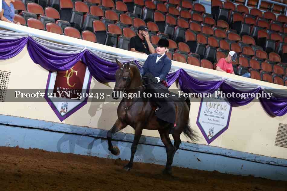 Proof 21YN_30243