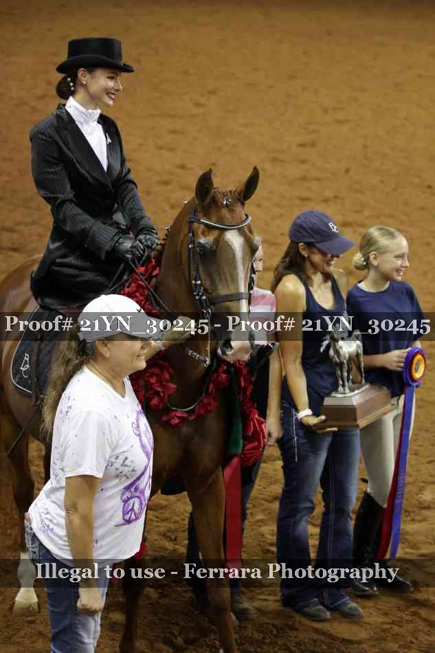 Proof 21YN_30245