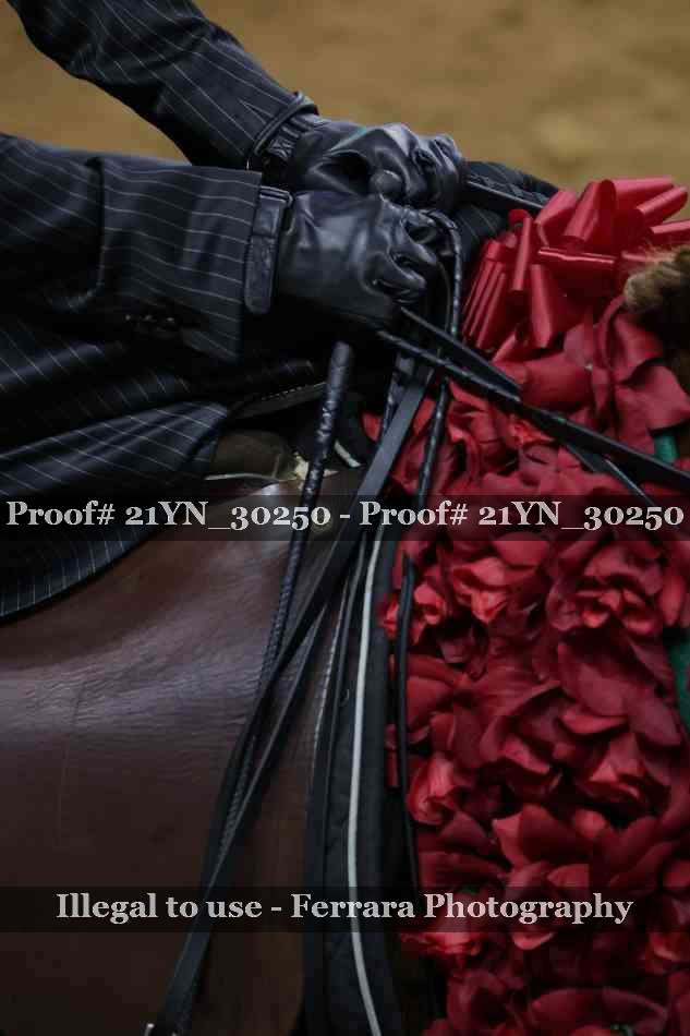 Proof 21YN_30250