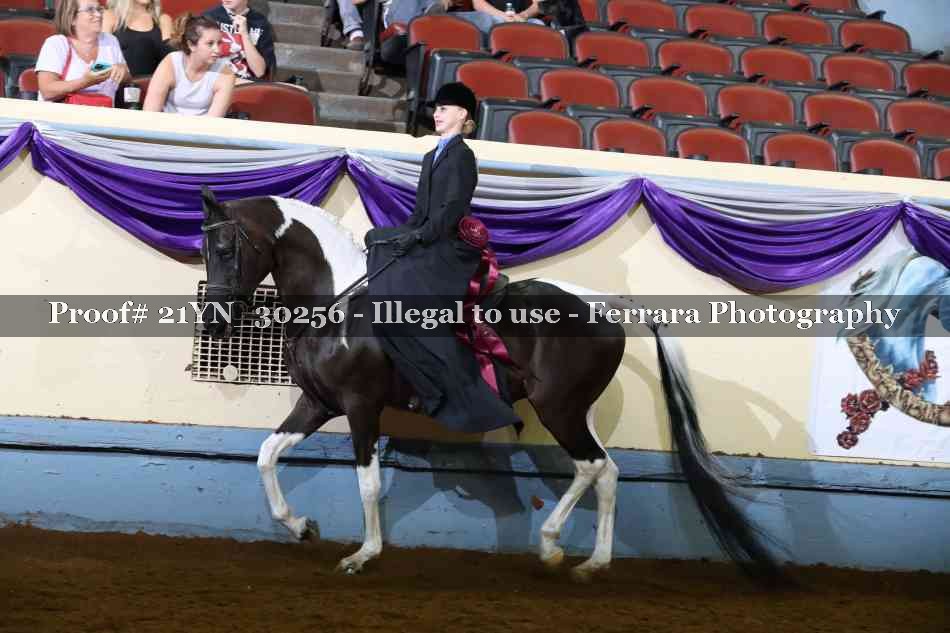 Proof 21YN_30256