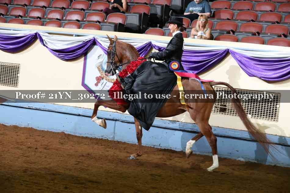 Proof 21YN_30272
