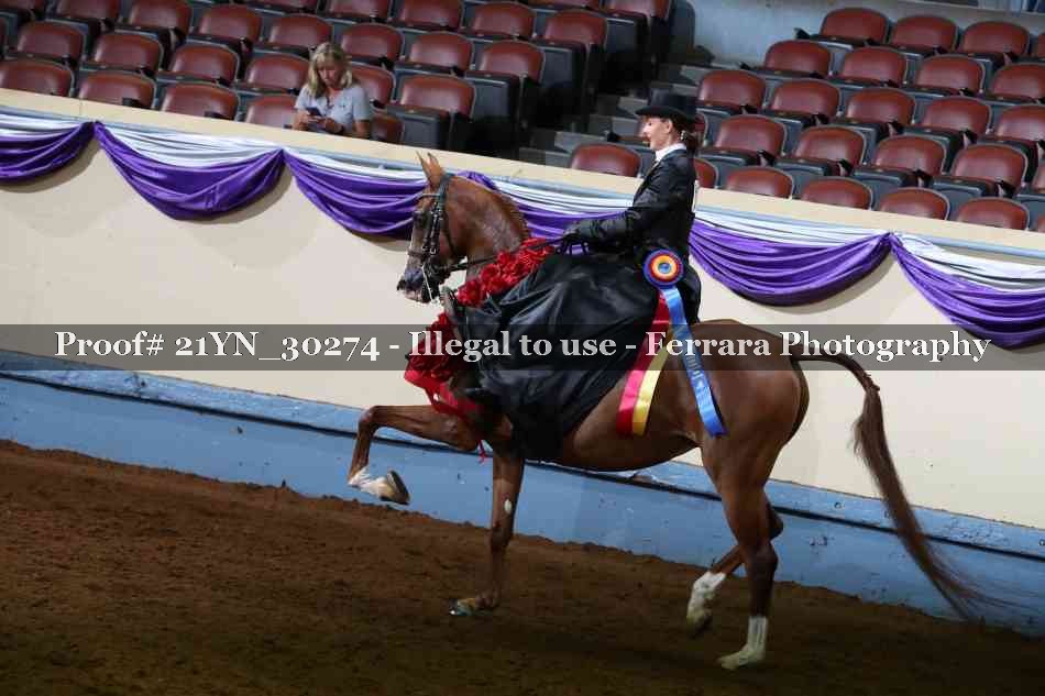 Proof 21YN_30274