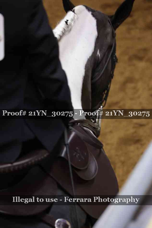 Proof 21YN_30275