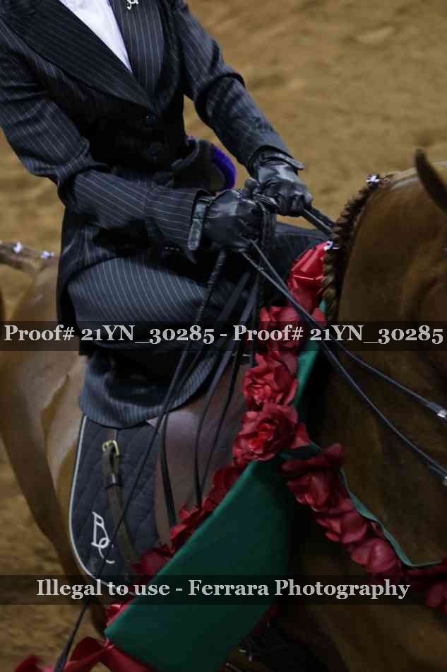 Proof 21YN_30285