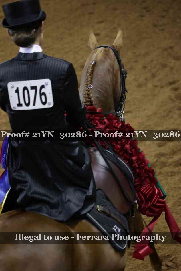 Proof 21YN_30286