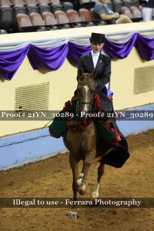 Proof 21YN_30289