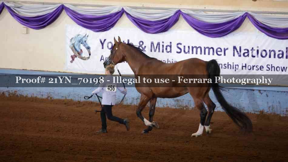 Proof 21YN_70198