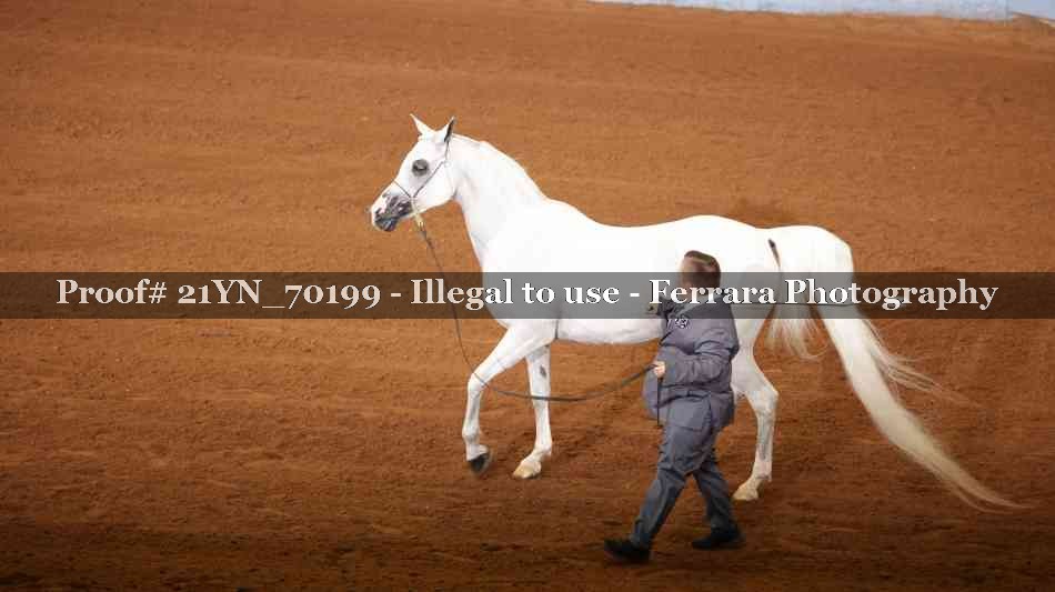 Proof 21YN_70199