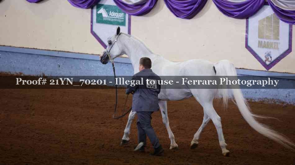 Proof 21YN_70201