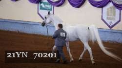 21YN_70201 proof