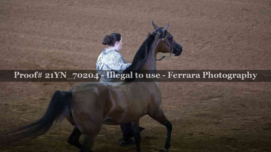 Proof 21YN_70204