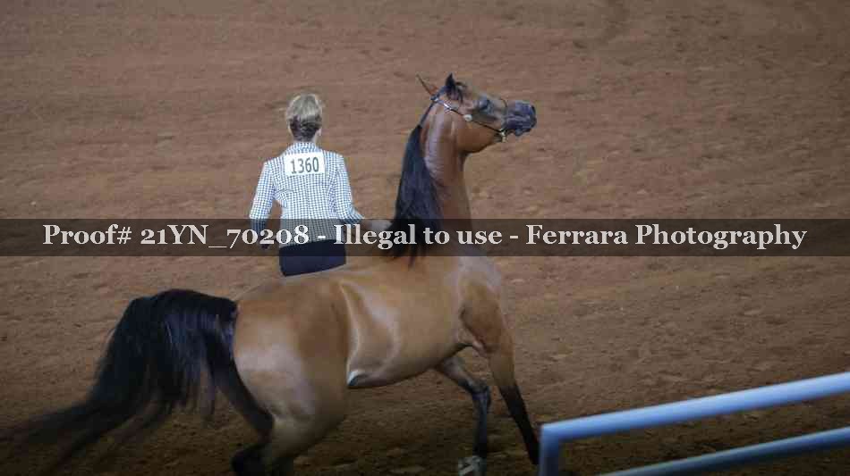 Proof 21YN_70208