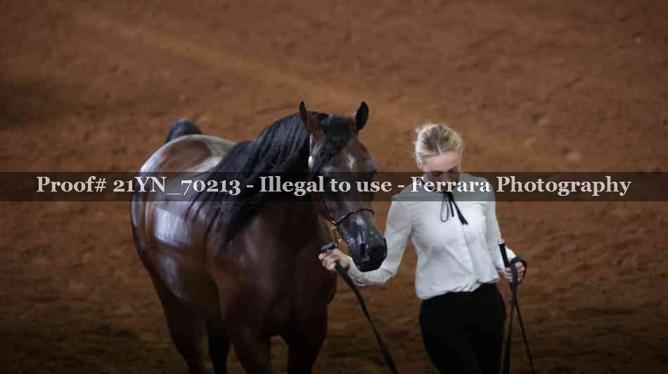 Proof 21YN_70213