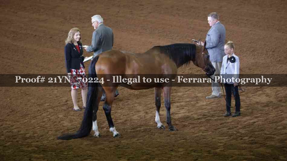 Proof 21YN_70224