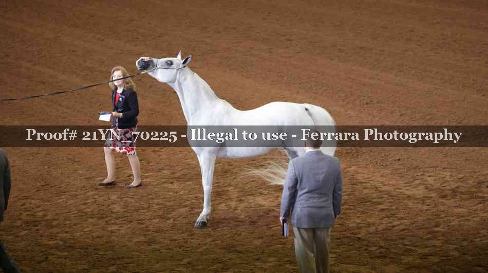 Proof 21YN_70225