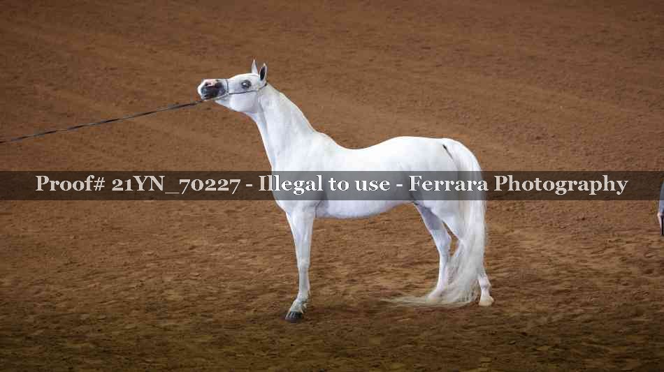 Proof 21YN_70227