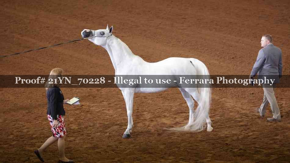 Proof 21YN_70228