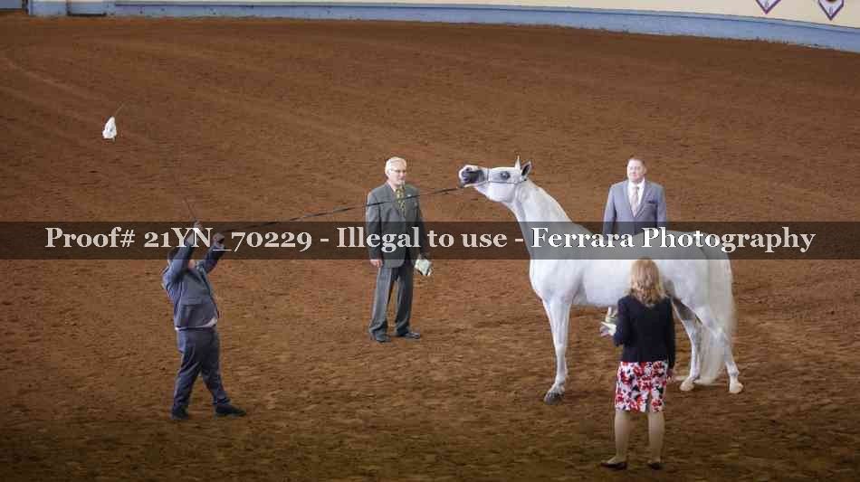 Proof 21YN_70229
