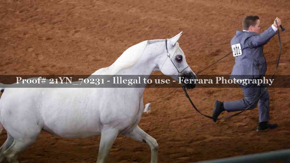 Proof 21YN_70231