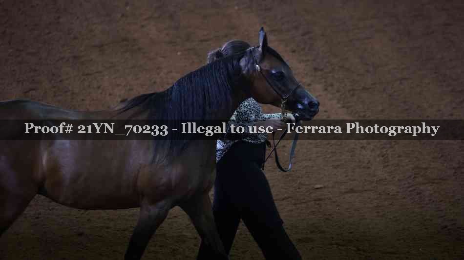 Proof 21YN_70233