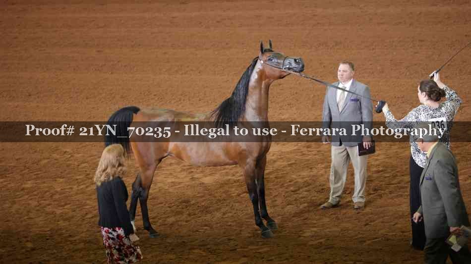 Proof 21YN_70235
