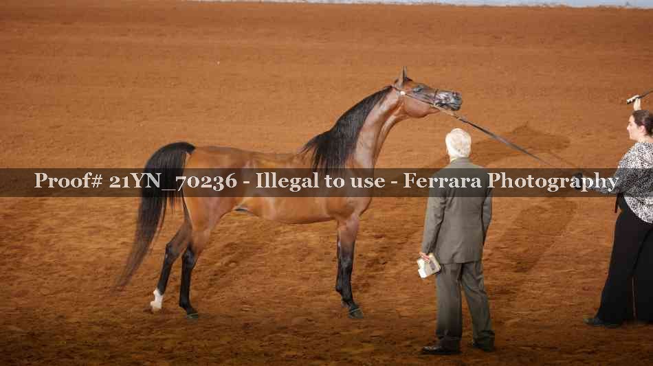 Proof 21YN_70236