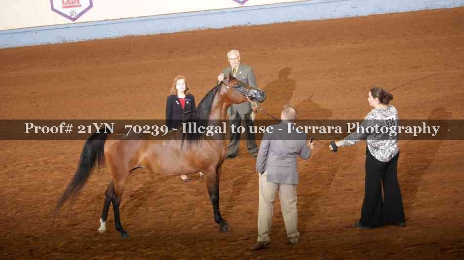 Proof 21YN_70239