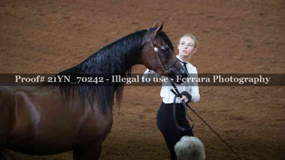 Proof 21YN_70242