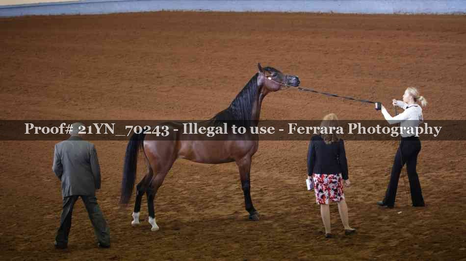 Proof 21YN_70243