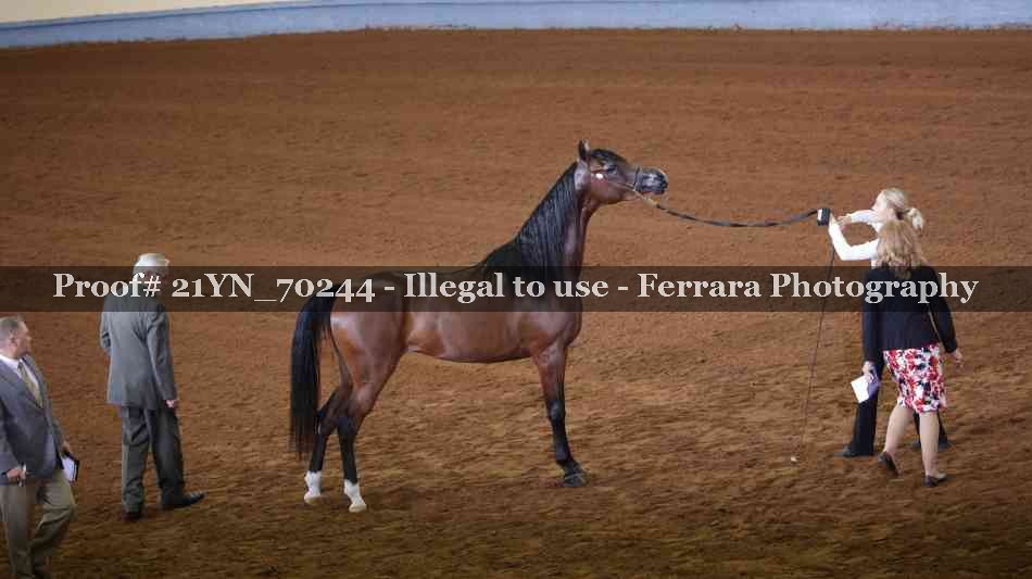 Proof 21YN_70244