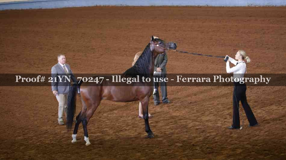Proof 21YN_70247