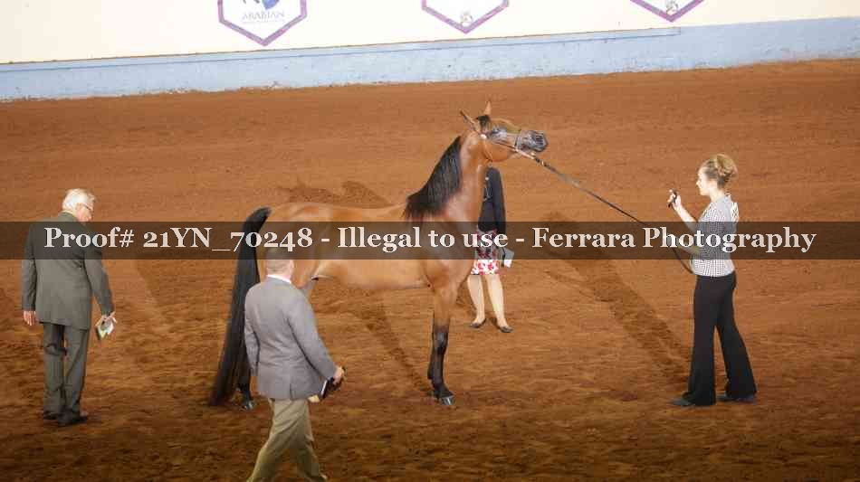 Proof 21YN_70248