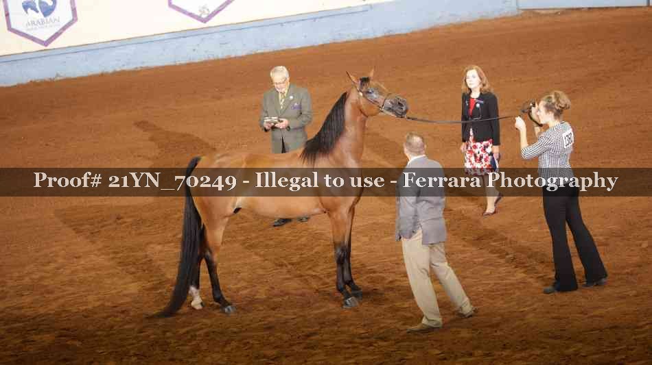 Proof 21YN_70249