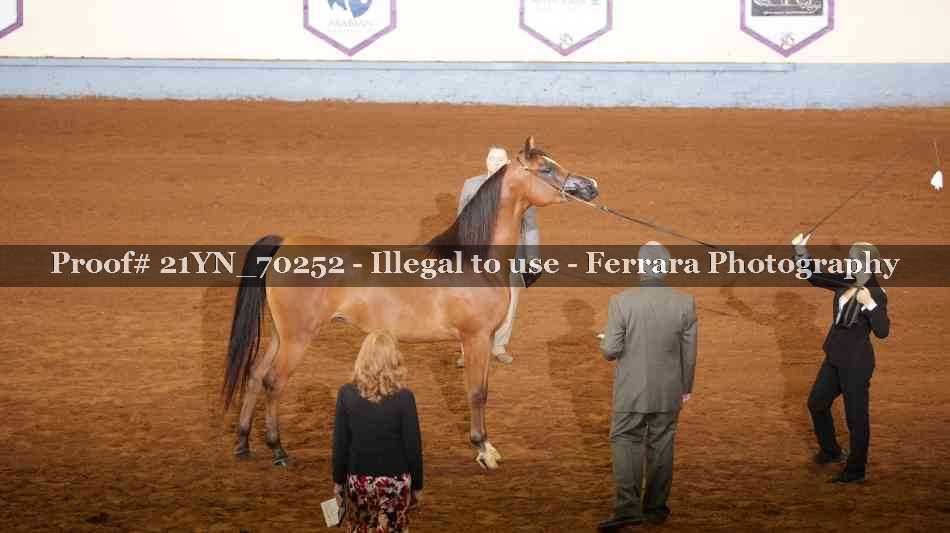 Proof 21YN_70252
