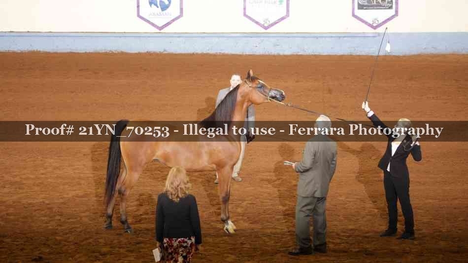 Proof 21YN_70253