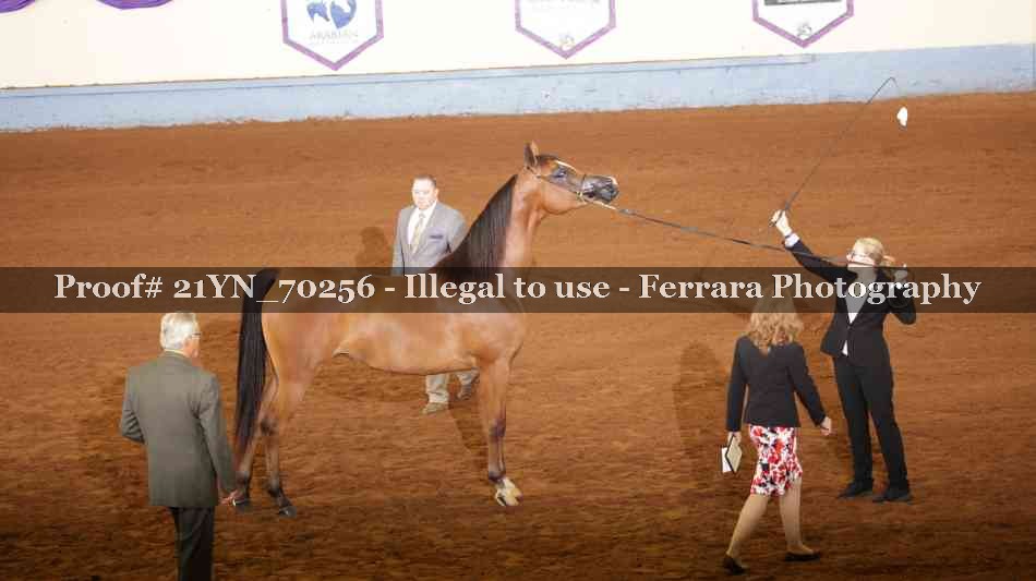Proof 21YN_70256