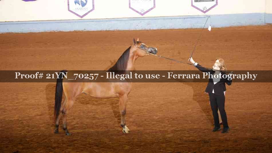 Proof 21YN_70257