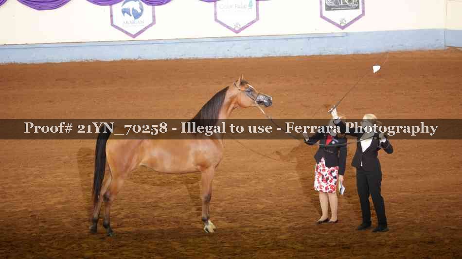 Proof 21YN_70258