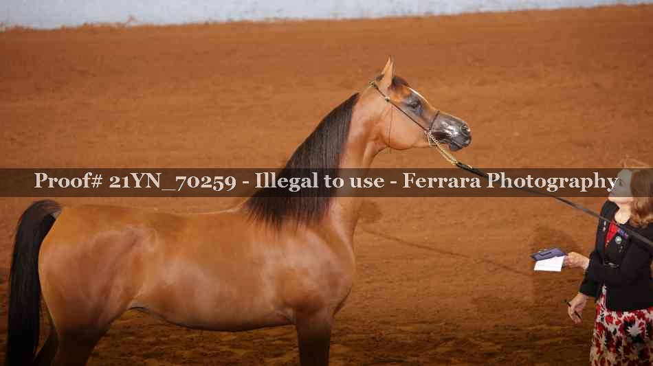 Proof 21YN_70259