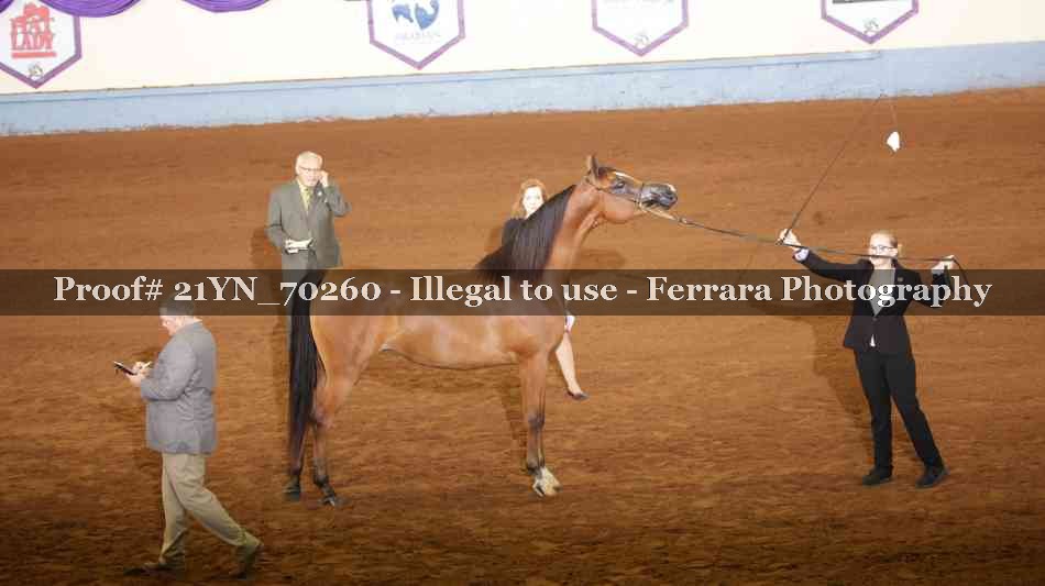 Proof 21YN_70260