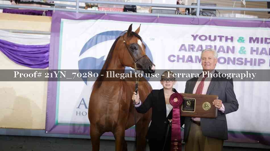 Proof 21YN_70280