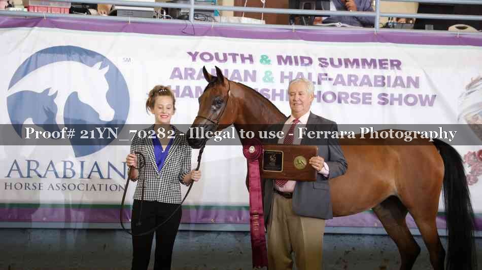 Proof 21YN_70282