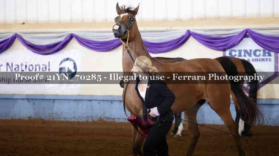 Proof 21YN_70285