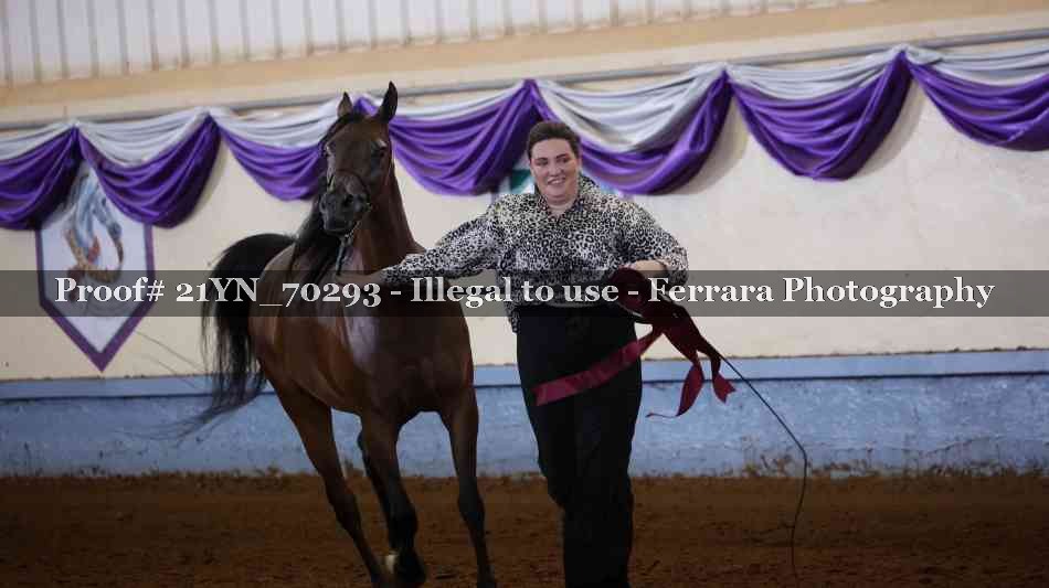 Proof 21YN_70293