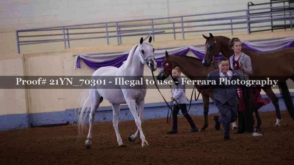 Proof 21YN_70301
