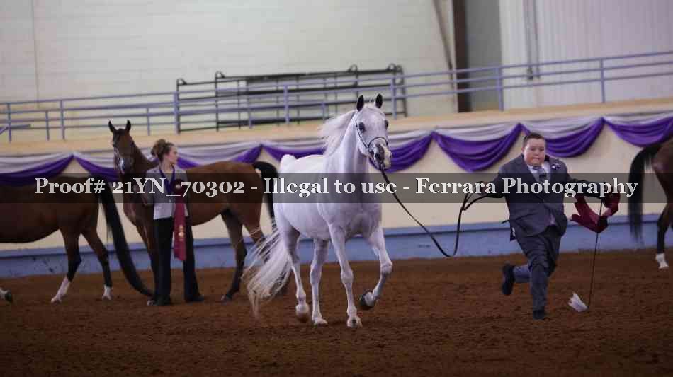 Proof 21YN_70302
