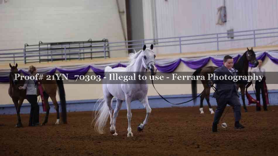 Proof 21YN_70303