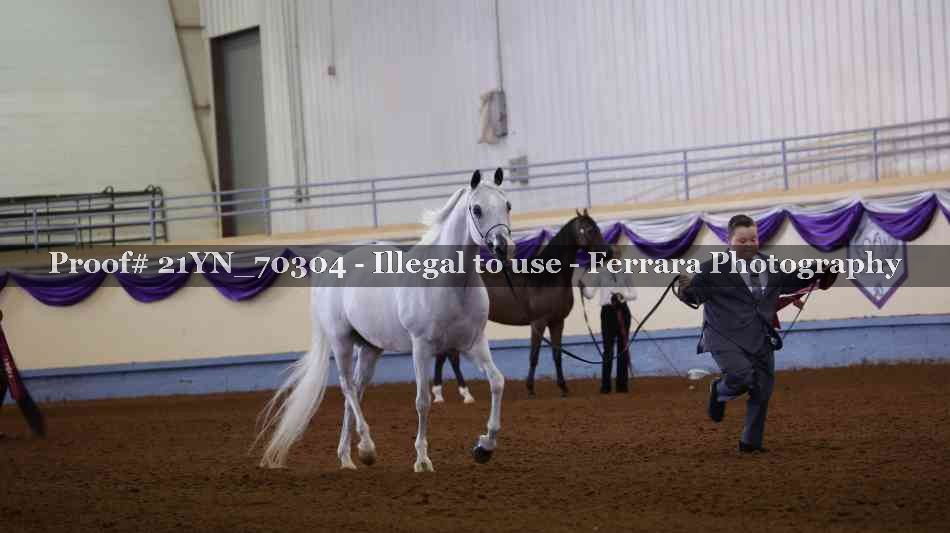 Proof 21YN_70304