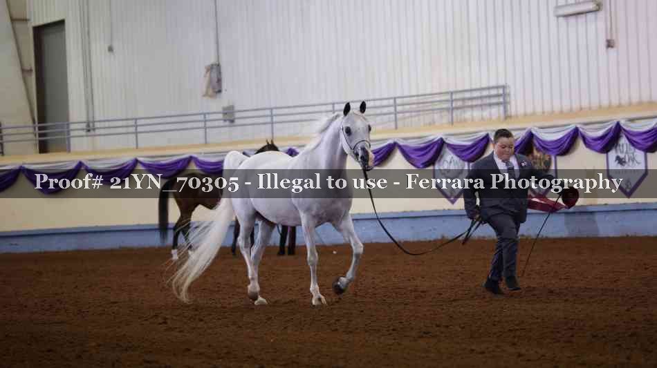 Proof 21YN_70305